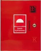 Zawory i kraniki - Zawór hydrantowy typ ZH-52 wraz z obudową, szafka ochronna 400 zawieszana, znak B, zamek OTS, kolor czerwony RAL3000 - miniaturka - grafika 1