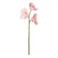 Sztuczne kwiaty - EUROCINSA Ref.57824C21 ORCHIDEA PHALAENOPSIS ROSA, pudełko 12, 57 cm - miniaturka - grafika 1
