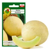 Nasiona i cebule - MELON OLIWIN WSZESNY AROMATYCZNY 2g NASIONA BEZ GMO - miniaturka - grafika 1