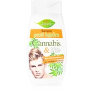 Szampony do włosów - Bione Bione Cannabis szampon przeciwłupieżowy dla mężczyzn 260ml - miniaturka - grafika 1