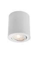 Lampy sufitowe - DIRETTO Downlight Dimmable Biała - miniaturka - grafika 1