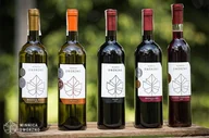 Czasopisma - Zwiedzanie Winnicy Dwórzno z degustacją i winami w prezencie - miniaturka - grafika 1