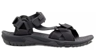 Sandały męskie Jack Wolfskin LAKEWOOD RIDE SANDAL M (4019021_6350)-43 - Sandały męskie - miniaturka - grafika 1