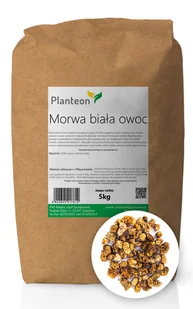 Planteon Morwa biała owoc 5kg 2-0293-01-6 - Owoce świeże i suszone - miniaturka - grafika 1