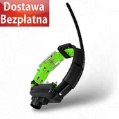 Specjalistyczne artykuły dla zwierząt - Obroża dla innego psa DOG GPS X30TB - Zielony - miniaturka - grafika 1