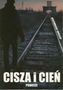 Cisza i cień - Literatura obyczajowa - miniaturka - grafika 1