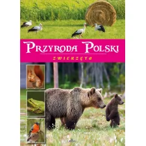 Przyroda Polski Zwierzęta Żaneta Zając - Albumy - przyroda - miniaturka - grafika 1