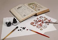 Szkolne artykuły papiernicze - Clairefontaine 975402C bibuła - 25 arkuszy bardzo chłonna biała bibuła - 50x65 cm 250g - do pisania lub rysowania tuszem - miniaturka - grafika 1