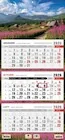 Kalendarze - Kalendarz 2026 trójdzielny płaska główka tatry - miniaturka - grafika 1