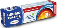 Stawy, mięśnie, kości - Alpa Reumo Terapia Krem z imbirem 60 g - miniaturka - grafika 1