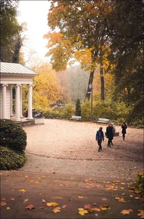 Warszawa Jesień w Łazienkach I - Plakat premium 40x50 cm - Plakaty Warszawa Jesień w Łazienkach I - Plakat premium 40x50 cm - Plakaty - miniaturka - grafika 1