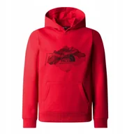 Bluzy damskie - THE NORTH FACE BLUZA TOPOGRAPHIC REGULAR NF0A89HJ682 r L - miniaturka - grafika 1