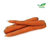 Szybkie dania obiadowe - Marchew Niemyta Świeża Bio (Polska) (Około 1,00 Kg) - miniaturka - grafika 1