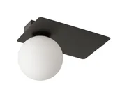 Lampy sufitowe - Sigma Nowoczesny plafon do biura i domu ARGON G9 12W szer. 25cm czarny 33273 - miniaturka - grafika 1