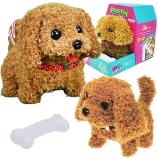 WOOPIE Piesek Interaktywny Pluszak z Kością Pudel Husky - Maskotki i pluszaki WOOPIE Piesek Interaktywny Pluszak z Kością Pudel Husky - Maskotki i pluszaki - miniaturka - grafika 1