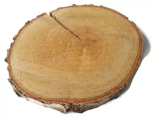 Plaster drewna Brzoza nieszlifowana 28-33 cm / 2,5 cm  z pęknięciem - Dekoracje domu - miniaturka - grafika 1