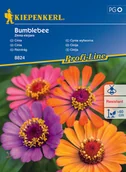 Nasiona i cebule - Cynia Wytworna Bumblebee - miniaturka - grafika 1