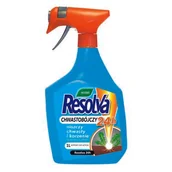 Preparaty na chwasty i szkodniki - Środek chwastobójczy Resolva 24h total - gotowy do użycia Westland - miniaturka - grafika 1