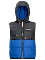 Kurtki i płaszcze dla chłopców - Jack Wolfskin GLEELY INS HOODED VEST K, Sky nordyckie, 104 - miniaturka - grafika 1