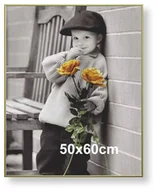 Ramki na zdjęcia - Rama aluminiowa do plakatu 50x60cm, złota anoda / ARTVIC - miniaturka - grafika 1