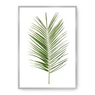 Plakaty - Dekoria Dekoria Plakat Palm Leaf Green 70 x 100 cm Ramka Srebrna 223G-000-06 - miniaturka - grafika 1