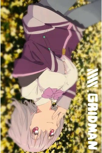 Plakat Anime SSSS.Gridman SSSS_046 A2 (custom)
