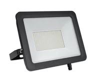 Lampy ogrodowe - LED Reflektor zewnętrzny STAR LED/150W/230V IP65 5000K - miniaturka - grafika 1