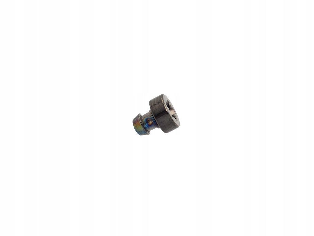 Wkręt śrubka bezela Casio GW-7900 G-7900 szary - 1 sztuka