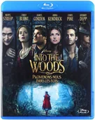 Filmy przygodowe Blu-Ray - Tajemnice lasu - miniaturka - grafika 1