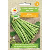 Nasiona i cebule - Toraf Nasiona Fasola szp. ziel. karł. Bona 30 g - miniaturka - grafika 1