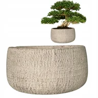 Donice - DONICZKA PŁASKA NISKA NA BONSAI DUŻA 24cm okrągła cementowa szara do salonu - miniaturka - grafika 1