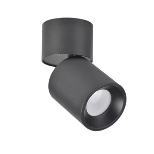 Polux Oczko natynkowe 1x10W GU10 Nixa 314246 SANICO 314246 - Lampy sufitowe - miniaturka - grafika 1