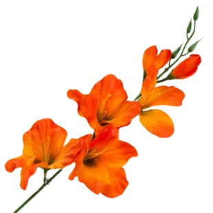 [w0591] Mieczyk satynowy gałązka 54cm ciemnopomarańczowy - Sztuczne kwiaty - miniaturka - grafika 1