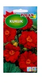 Nasiona i cebule - Kuklik szkarłatny 0,5 g POLAN - miniaturka - grafika 1