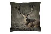 Poduszki - Poduszka z jeleniem AMPE - miniaturka - grafika 1
