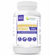 Witaminy i minerały dla sportowców - Wish Andrographis Extract 400mg 60caps - miniaturka - grafika 1