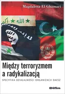 Filozofia i socjologia - Między terroryzmem a radykalizacją - miniaturka - grafika 1