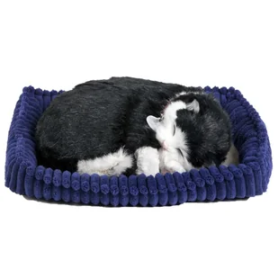 Plenty Gifts Perfect Petzzz Pluszowy kot brytyjski krótkowłosy, 92554 - Maskotki i pluszaki - miniaturka - grafika 1