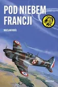 Literatura popularno naukowa dla młodzieży - Pod niebem Francji - Wacław Król - miniaturka - grafika 1