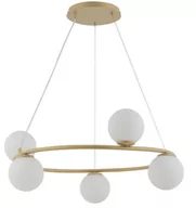 Lampy sufitowe - Sigma złota lampa sufitowa nad stół 33381 GAMA KOŁO 5 elegancki żyrandol do jadalni szklane kule 33381 - miniaturka - grafika 1