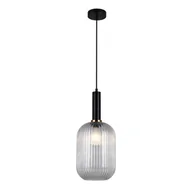 Lampy sufitowe - Italux Antiola PND-5588-1L-BK+CL PND-5588-1L-BK+CL - miniaturka - grafika 1