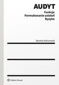 E-booki - prawo - Audyt. Funkcje. Formułowanie ustaleń. Ryzyka - miniaturka - grafika 1