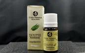 Aromaterapia - Olejek eteryczny eukaliptusowy Eucalyptus officinalis 5ml CRETA VOTANICA BIO - miniaturka - grafika 1