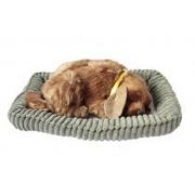 Maskotki i pluszaki - Askato Śpiący pies na poduszce Golden - miniaturka - grafika 1