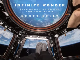 KELLY SCOTT Infinite Wonder - Albumy - historia - miniaturka - grafika 2