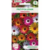 Nasiona i cebule - Przypołudnik mieszanka W.Legutko - miniaturka - grafika 1