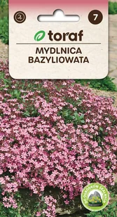 Mydlnica bazyliowata nasiona 0,5 g - Nasiona i cebule - miniaturka - grafika 1