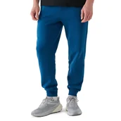 Spodnie sportowe męskie - Spodnie 4F WMM00TTROM094346S - niebieskie - miniaturka - grafika 1