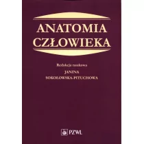 Anatomia człowieka Podręcznik dla studentów medycyny - Książki medyczne - miniaturka - grafika 1