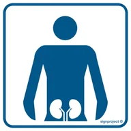 Systemy ekspozycyjne i znaki informacyjne - RE020 UROLOGIA, PN - PŁYTA PCV 1MM; (100X100MM) - miniaturka - grafika 1